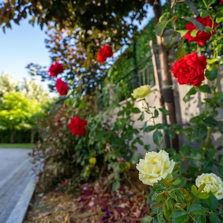 Pensjonat Casa Mt - Boutique Gabrowo