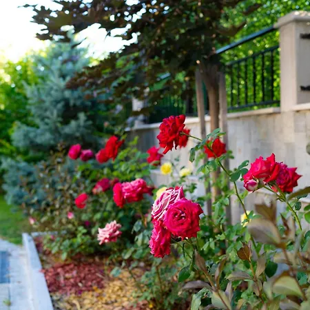 Casa Mt - Boutique Affittacamere 4*