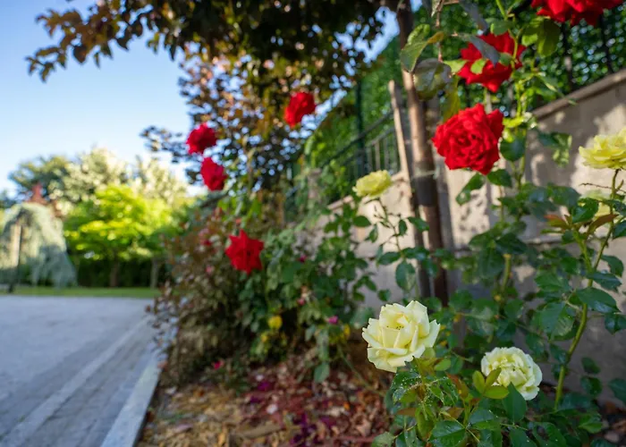 Pensión Casa Mt - Boutique Gabrovo